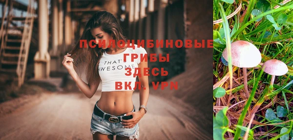 амфетамин Алексин