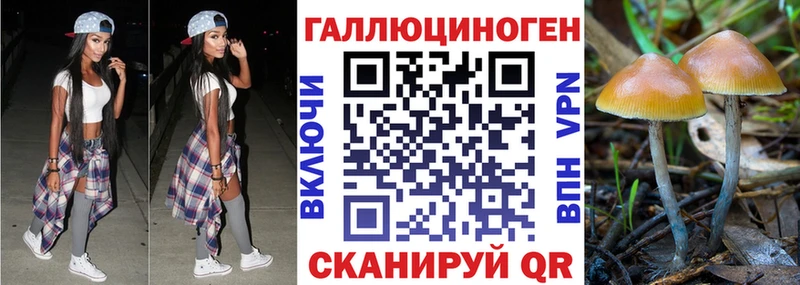 Псилоцибиновые грибы мицелий  Черноголовка 